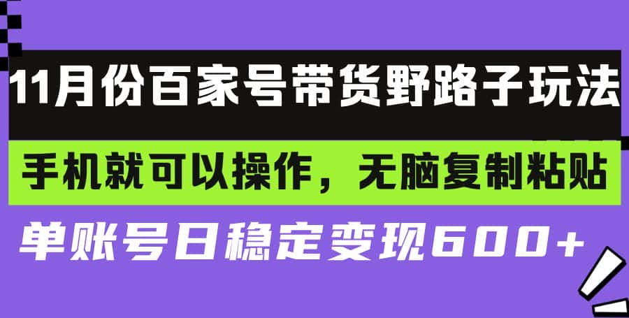 (13281期)百家号带货野路子玩法 手机就可以操作,无脑复制粘贴 单账号日稳定变现…-优优云创