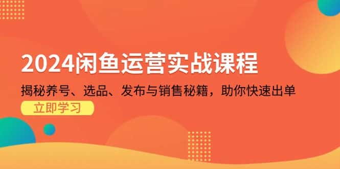 （13290期）2024闲鱼运营实战课程：揭秘养号、选品、发布与销售秘籍，助你快速出单-优优云创