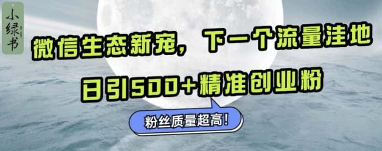微信生态新宠小绿书：下一个流量洼地，日引500+精准创业粉，粉丝质量超高-优优云创