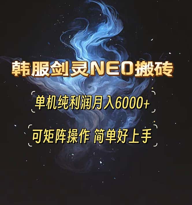 （13435期）韩服剑灵NEO搬砖攻略，单机纯利润月入6000+ 可矩阵操作，简单好上手。-优优云创
