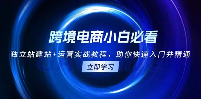 （13503期）跨境电商小白必看！独立站建站+运营实战教程，助你快速入门并精通-优优云创网