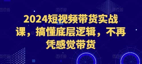 2024短视频带货实战课,搞懂底层逻辑,不再凭感觉带货-副业吧