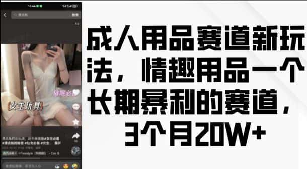 成人用品赛道新玩法，情趣用品一个长期暴利的赛道，3个月收益20个-优优云创