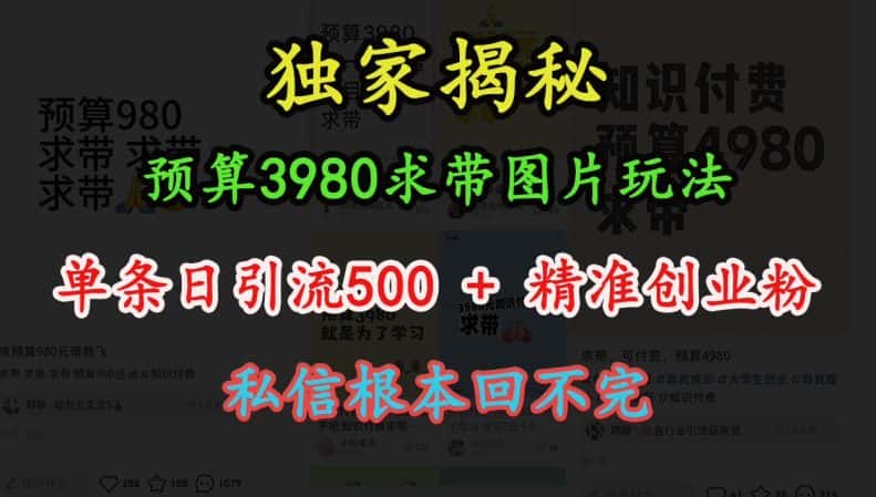 预算3980求带 图片玩法，单条日引流500+精准创业粉，私信根本回不完-优优云创
