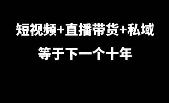 短视频+直播带货+私域等于下一个十年,大佬7年实战经验总结-优优云创网