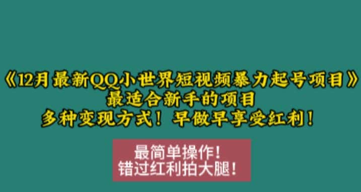 12月最新QQ小世界短视频暴力起号项目，最适合新手的项目，多种变现方式-优优云创网