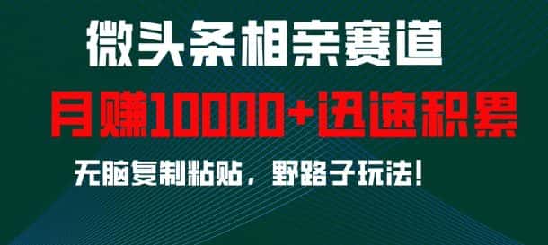 微头条相亲赛道，迅速积累，无脑复制粘贴，野路子玩法，月入1w-优优云创