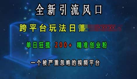 全新引流风口，跨平台玩法日入上k，单日狂揽200+精准创业粉，一个被严重忽略的视频平台-副业吧