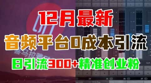 12月最新：音频平台0成本引流，日引流300+精准创业粉-优优云创