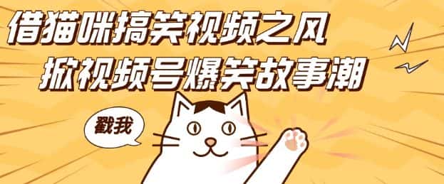 借猫咪搞笑视频之风，掀视频号爆笑故事潮，轻松日入四位数，无门槛快速入门!-副业吧