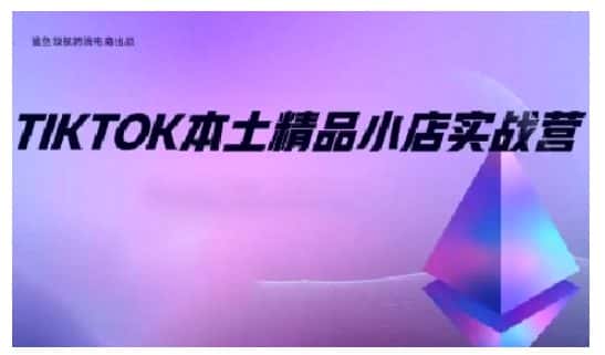 TikTok本土精品小店出海实战营，从入门到高阶，不止0-1!-优优云创