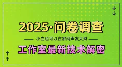 2025问卷调查最新工作室技术解密:一个人在家也可以闷声发大财,小白一天2张,可矩阵放大-副业吧