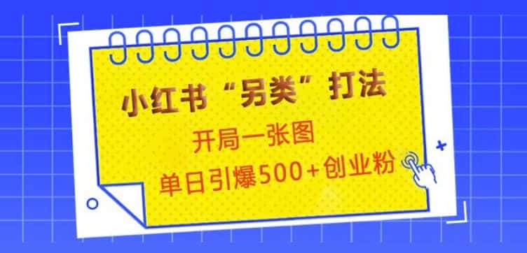 小红书“另类”打法，开局一张图，单日引爆500+精准创业粉-优优云创