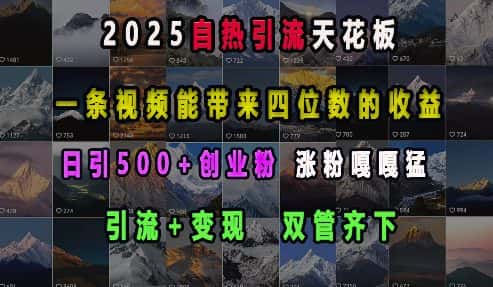 2025自热引流天花板,一条视频能带来四位数的收益,引流+变现双管齐下,日引500+创业粉,涨粉嘎嘎猛-副业吧
