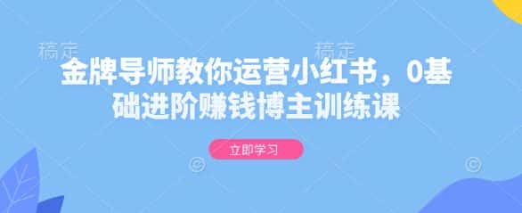 金牌导师教你运营小红书，0基础进阶赚钱博主训练课-优优云创