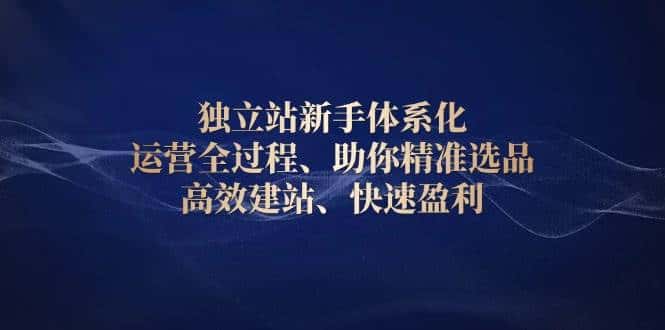 独立站新手体系化 运营全过程，助你精准选品、高效建站、快速盈利-副业吧