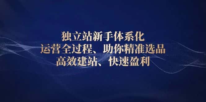 （13914期）独立站新手体系化 运营全过程，助你精准选品、高效建站、快速盈利-副业吧