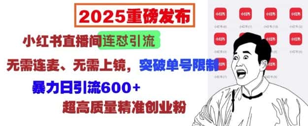 2025重磅发布：小红书直播间连怼引流，无需连麦、无需上镜，突破单号限制，暴力日引流600+-副业吧