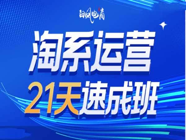 淘系运营21天速成班35期，年前最后一波和2025方向-优优云创