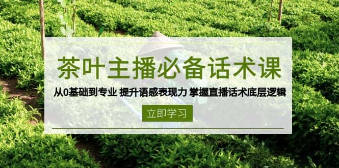 （13961期）茶叶 主播必备话术课 从0基础到专业 提升语感表现力 掌握直播话术底层逻辑-优优云创