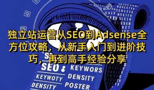独立站运营从SEO到Adsense全方位攻略，从新手入门到进阶技巧，再到高手经验分享-优优云创