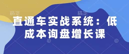直通车实战系统：低成本询盘增长课，让个人通过技能实现升职加薪，让企业低成本获客，订单源源不断-副业吧