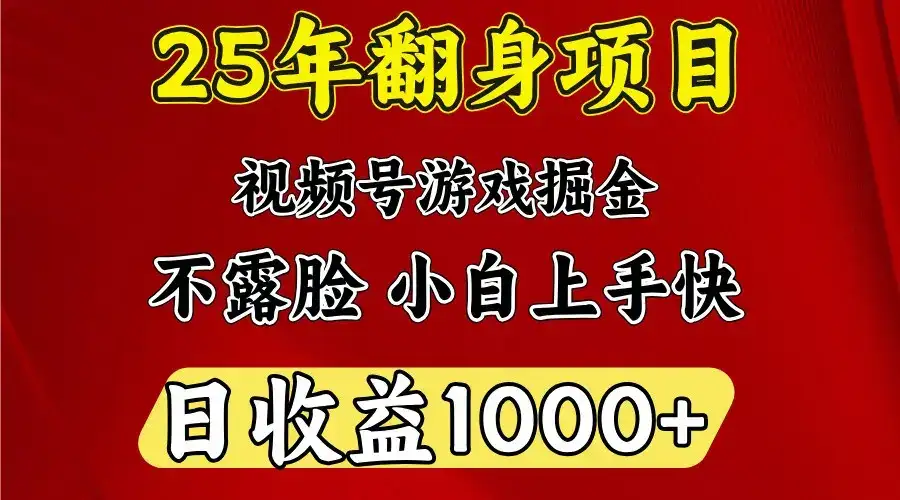 一天收益1000+ 25年开年落地好项目-副业吧