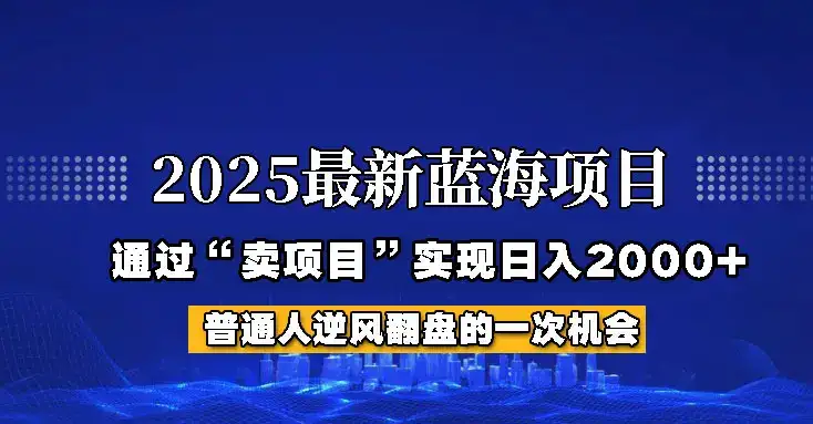2025年蓝海项目，如何通过“网创项目”日入2000+-副业吧