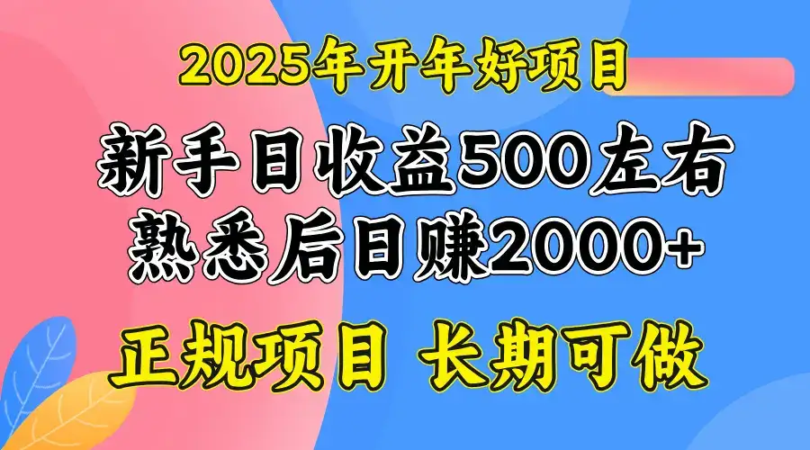 2025开年好项目，单号日收益2000左右-优优云创