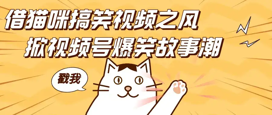 借猫咪搞笑视频之风,掀视频号爆笑故事潮,轻松日赚四位数,开启无门槛赚钱新体验!-副业吧