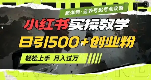 2月小红书最新日引500+创业粉实操教学【超详细】小白轻松上手，月入1W+，附小红书养号起号SOP-优优云创网