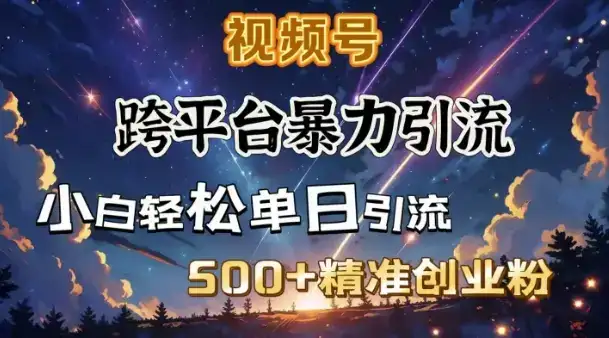 跨平台暴力引流，私域完美闭环，日引500+精准创业粉-优优云创