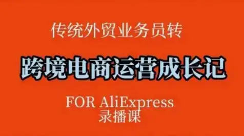 跨境电商速卖通运营课，​运营方法论+后台实操，逻辑清晰-优优云创