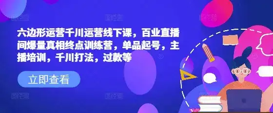 六边形运营千川运营线下课，百业直播间爆量真相终点训练营，单品起号，主播培训，千川打法，过款等-副业吧