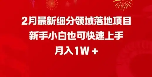 2月最新细分领域落地项目，新手小白也可快速上手，月入1W-副业吧