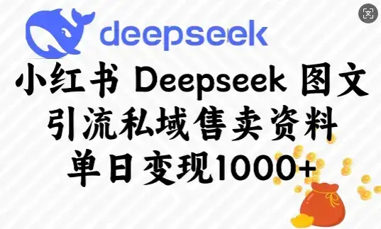 小红书Deepseek图文引流私域售卖资料，单日变现多张-副业吧