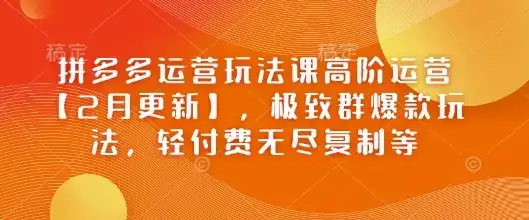 拼多多运营玩法课高阶运营【2月更新】，极致群爆款玩法，轻付费无尽复制等-副业吧