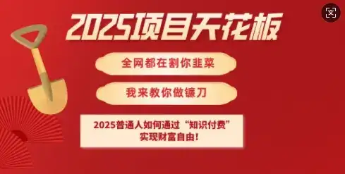 2025项目天花板普通人如何通过知识付费，实现财F自由【揭秘】-优优云创