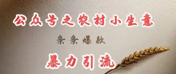 deepseek写农村小项目，条条爆款，暴力引流-优优云创