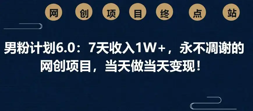 男粉计划6.0：7天收入1W+，永不凋谢的网创项目，当天做当天变现！-副业吧