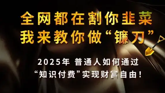 全网都在割你韭菜，我来教你做镰刀，2025普通人如何通过知识付费，实现财F自由【揭秘】-优优云创