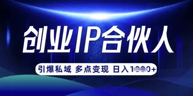 云帆·创业ip合伙人打造3.0，从0到1教你做网创，实现月入过W-优优云创