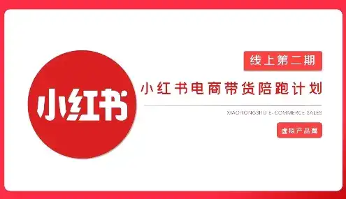 2025小红书虚拟电商实战课，从0到1打造无货源店铺，AI+爆款笔记轻松变现-优优云创