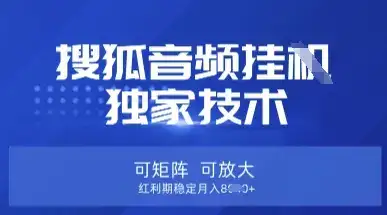 【搜狐音频挂G】独家技术，可矩阵可放大，红利期稳定月入8k【揭秘】-优优云创