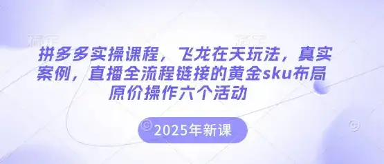 拼多多实操课程，飞龙在天玩法，真实案例，直播全流程链接的黄金sku布局原价操作六个活动-优优云创