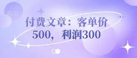 付费文章：客单价500，利润300-优优云创