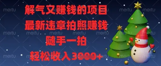 解气又挣钱的项目，最新违章拍照挣钱，随手一拍，轻松收入数张【揭秘】-优优云创