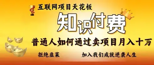 互联网项目天花板，知付付费项目，普通人如何通过卖项目月入十个，拒绝韭菜【揭秘】-优优云创