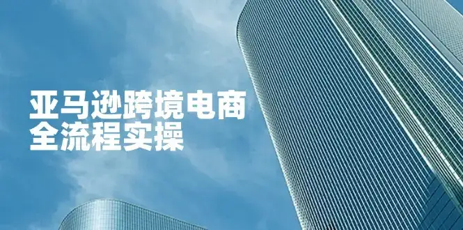 亚马逊跨境电商全流程实操，教你从零开始，掌握店铺运营与广告技巧-优优云创