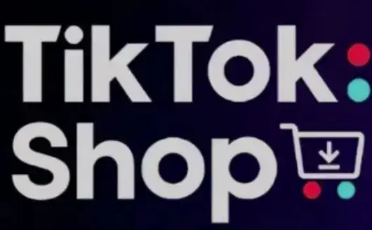 TikTokShop跨境电商0-1实战，手把手教你低成本启动海外市场-优优云创